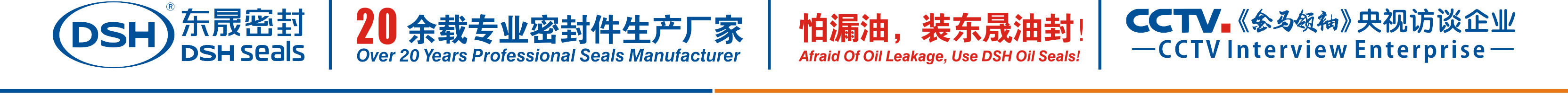 怕漏油，裝東晟油封！