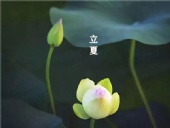 立夏已至，萬物向陽；